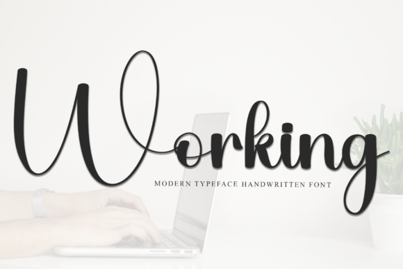 Working Typeface Review: A Soft Script for Modern Branding
